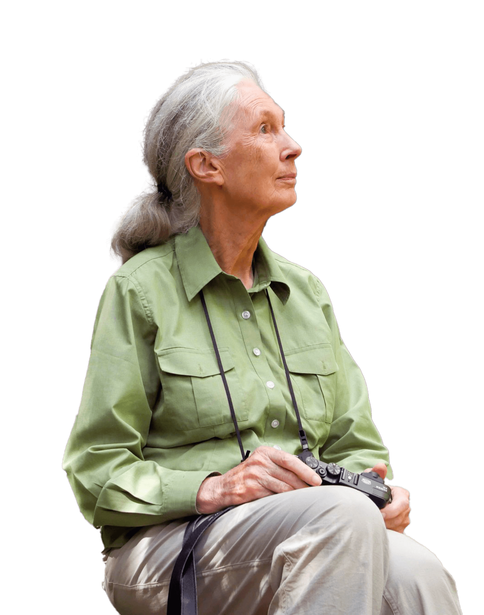 Jane Goodall's initiative of Trees for Jane