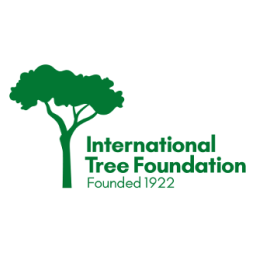 International Tree Foundation Logo